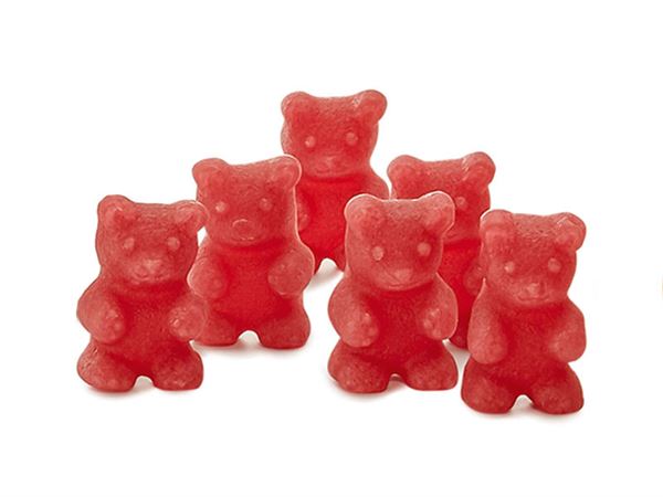 Mon Nounours Préféré – Image 3