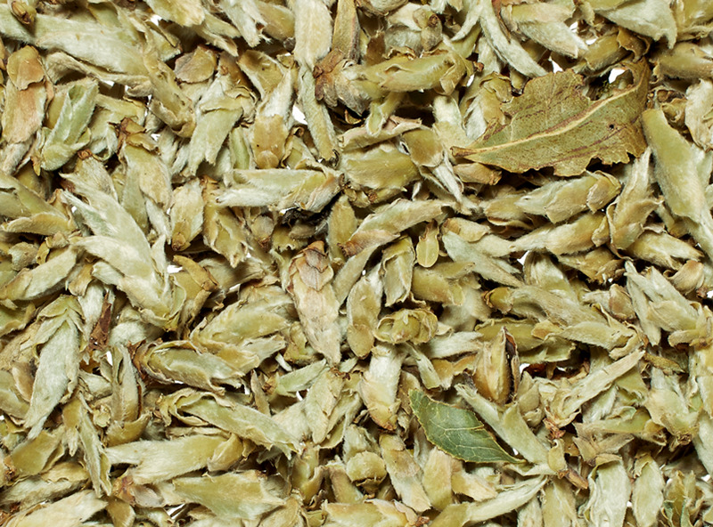 Ya Bao, wild winter tea