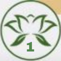 one-flower