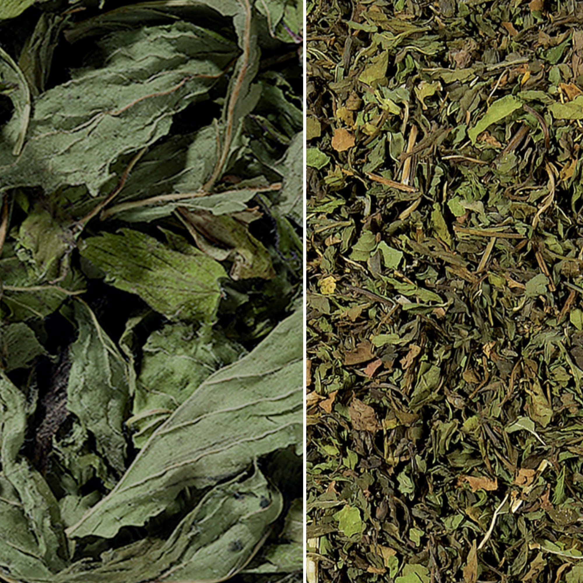 Menta y Yierbabuena